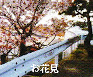 花見